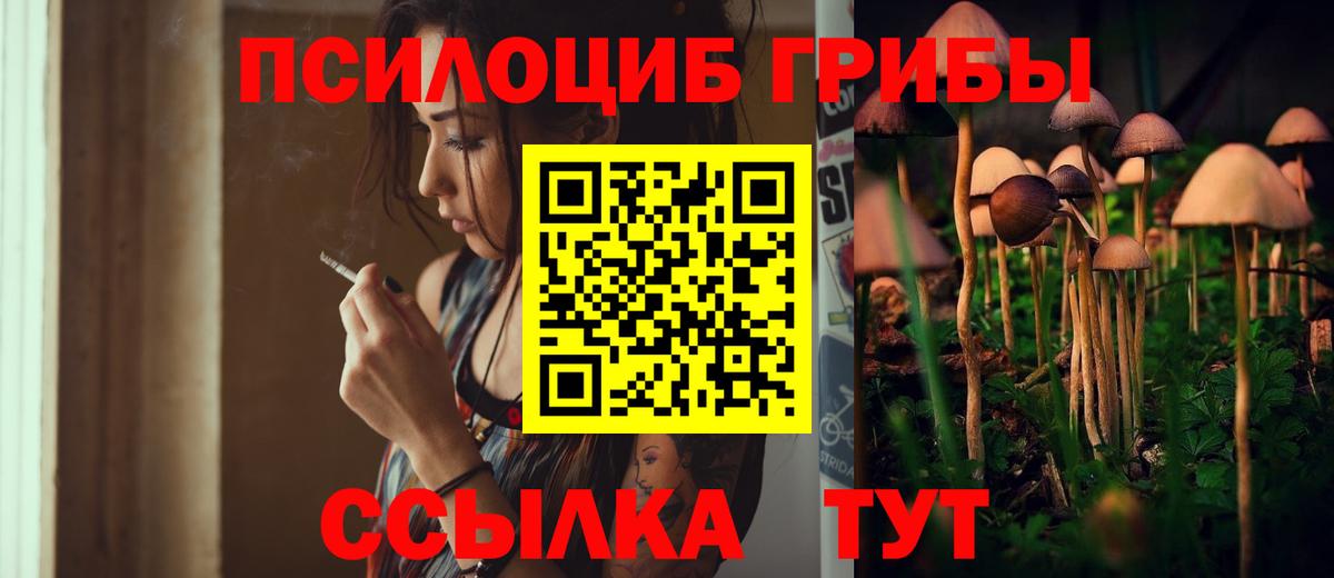 Лениногорск  Галлюциногенные грибы мухоморы  Вход с VPN 